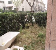 一樓陽臺外面